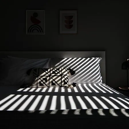 Loft Torre By Quokka 360 - Large In Locarno